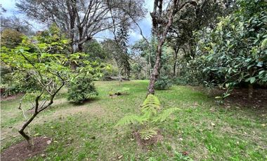 Venta de Finca en Santa Elena sector vereda el Plan