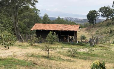 HUERTA DE AGUACATE EN VENTA EN MORELIA