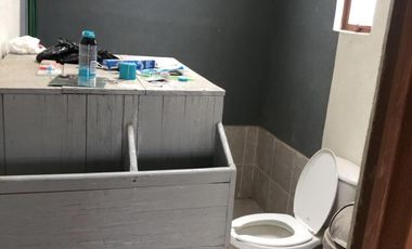 HUERTA DE AGUACATE EN VENTA EN MORELIA