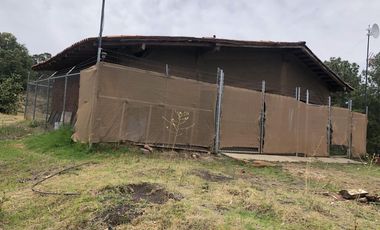 HUERTA DE AGUACATE EN VENTA EN MORELIA