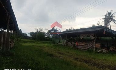 Tanah di Mainboard Lembang Tangkuban Parahu