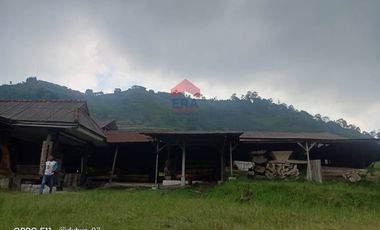 Tanah di Mainboard Lembang Tangkuban Parahu