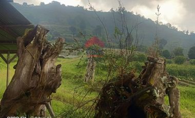 Tanah di Mainboard Lembang Tangkuban Parahu