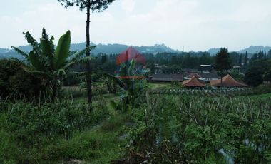 Tanah di Mainboard Lembang Tangkuban Parahu