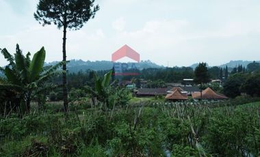 Tanah di Mainboard Lembang Tangkuban Parahu