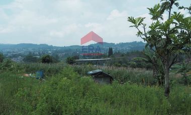 Tanah di Mainboard Lembang Tangkuban Parahu
