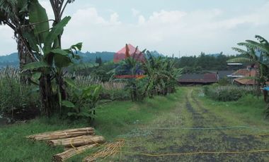 Tanah di Mainboard Lembang Tangkuban Parahu