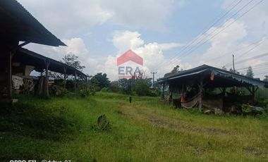Tanah di Mainboard Lembang Tangkuban Parahu