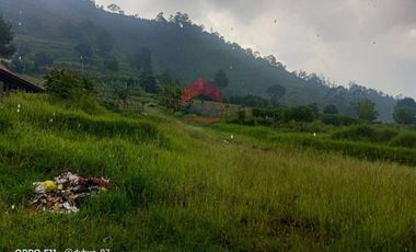 Tanah di Mainboard Lembang Tangkuban Parahu