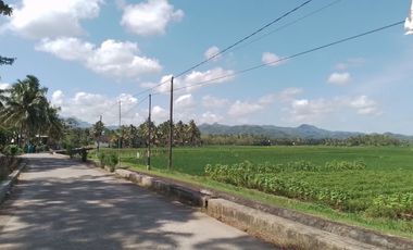Pekarangan SHM Skema Bayar Mudah Selatan Kota Purworejo