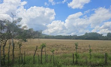 Se Vende Finca de 1750 Hectáreas en Santiago Veraguas