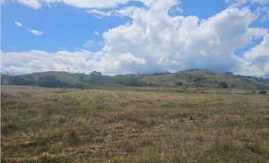Se Vende Finca de 1750 Hectáreas en Santiago Veraguas