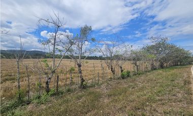 Se Vende Finca de 1750 Hectáreas en Santiago Veraguas