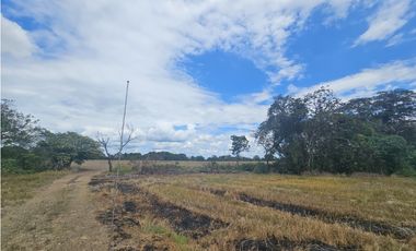 Se Vende Finca de 1750 Hectáreas en Santiago Veraguas