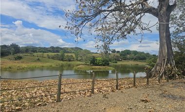 Se Vende Finca de 1750 Hectáreas en Santiago Veraguas