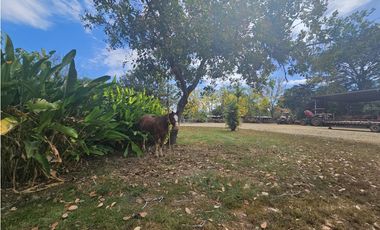Se Vende Finca de 1750 Hectáreas en Santiago Veraguas