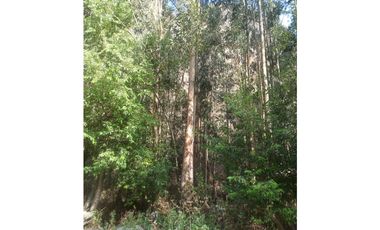 VENDO TERRENO 19,200 M2 OLLANTAYTAMBO CUSCO PERU