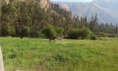 VENDO TERRENO 19,200 M2 OLLANTAYTAMBO CUSCO PERU