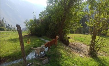VENDO TERRENO 19,200 M2 OLLANTAYTAMBO CUSCO PERU