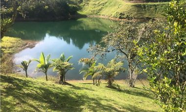 Finca En El Peñol Vereda Bonilla