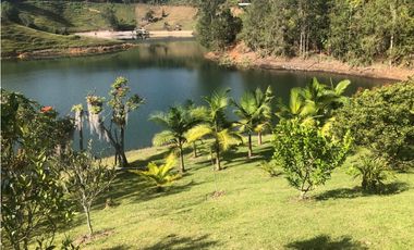 Finca En El Peñol Vereda Bonilla