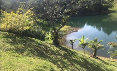 Finca En El Peñol Vereda Bonilla