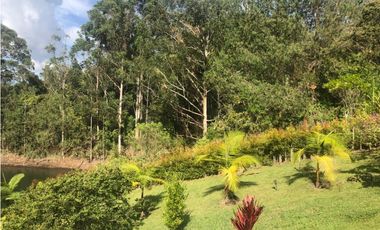 Finca En El Peñol Vereda Bonilla