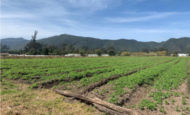 Finca/lote Sopó: 22 hectáreas