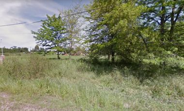 Excepcional quinta de 3600 m2 en Ingeniero Allan, Florencio Varela, forestada