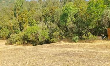 Oportunidad Colliguay, 10 Ha ,en árboles frutales y nativos
