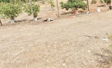 Oportunidad Colliguay, 10 Ha ,en árboles frutales y nativos