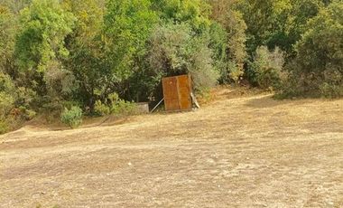 Oportunidad Colliguay, 10 Ha ,en árboles frutales y nativos
