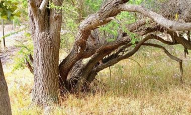 2 Casas, 250m2. 4 dormitorios.2baños, terreno 1.000m2 Recreo