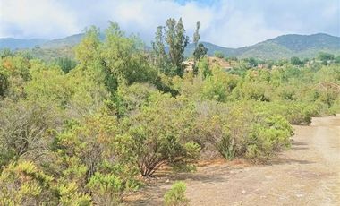 Oportunidad Colliguay, 10 Ha ,en árboles frutales y nativos