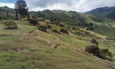 finca en venta en pacora - caldas. Cod V10711