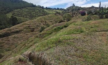 finca en venta en pacora - caldas. Cod V10711