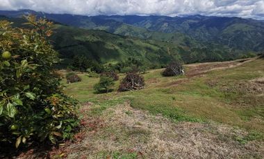 finca en venta en pacora - caldas. Cod V10711