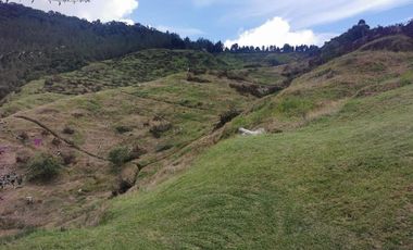 finca en venta en pacora - caldas. Cod V10711