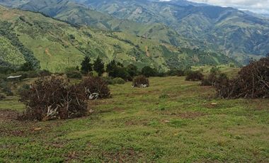 finca en venta en pacora - caldas. Cod V10711