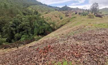 finca en venta en pacora - caldas. Cod V10711