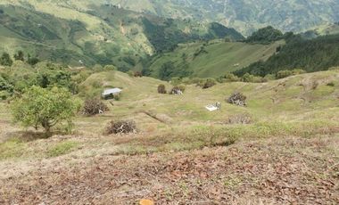 finca en venta en pacora - caldas. Cod V10711