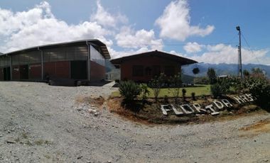 finca en venta en pacora - caldas. Cod V10711