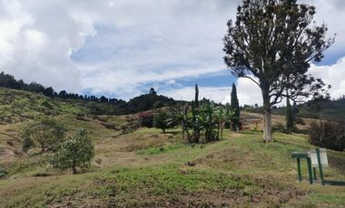 finca en venta en pacora - caldas. Cod V10711