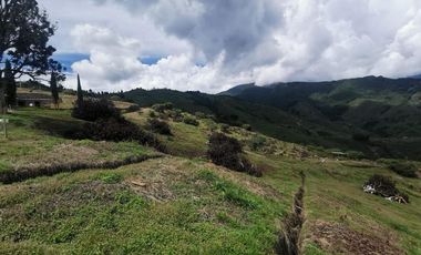 finca en venta en pacora - caldas. Cod V10711