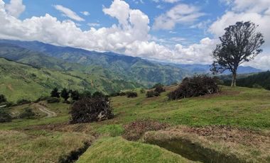 finca en venta en pacora - caldas. Cod V10711