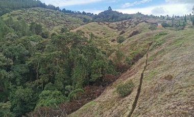 finca en venta en pacora - caldas. Cod V10711