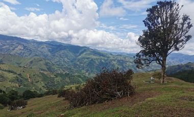 finca en venta en pacora - caldas. Cod V10711