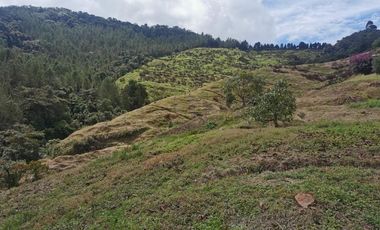 finca en venta en pacora - caldas. Cod V10711