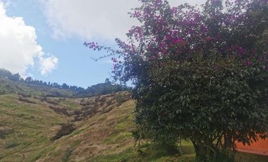finca en venta en pacora - caldas. Cod V10711