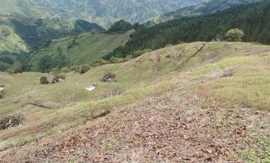 finca en venta en pacora - caldas. Cod V10711